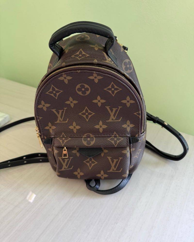 Vuitton Hombre Mochila Louis Vuitton Precio Chile Palm Mochila, Louis  Vuitton Designer Exchange Comprar Vender Intercambiar